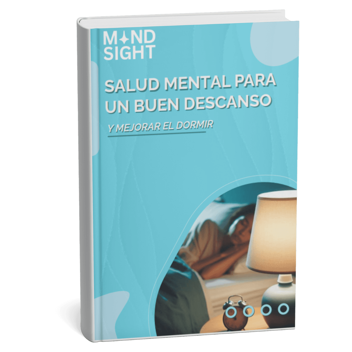 Mindsight sleepbook